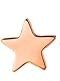 Star Screw Back Stud