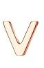 'V' Screw Back Stud